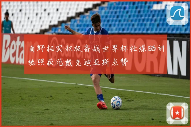 南野拓实积极备战世界杯社媒晒训练照获范戴克迪亚斯点赞